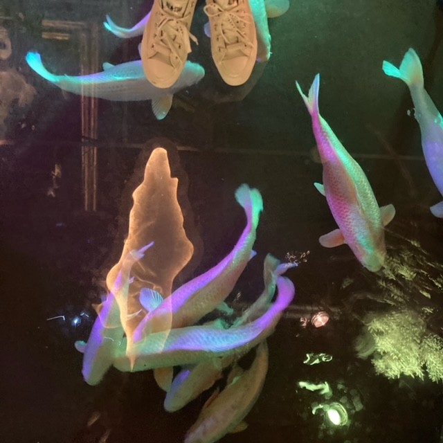 記事写真